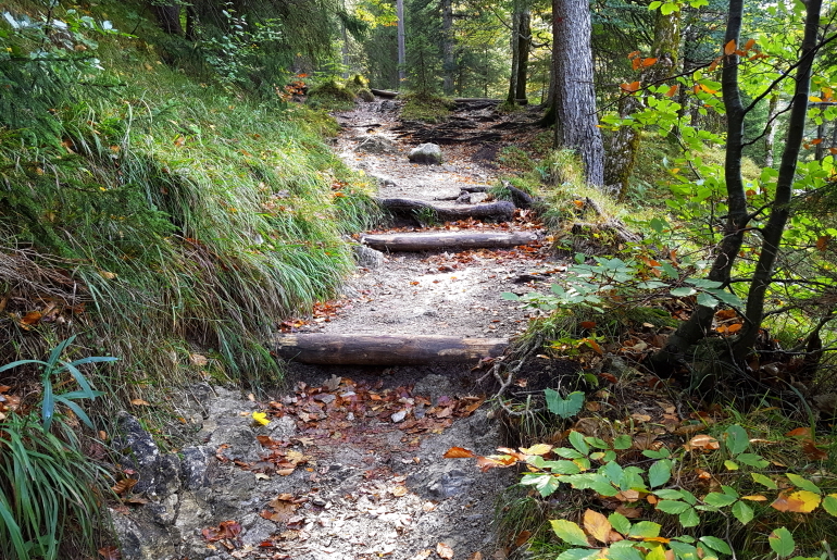 Trailrunning Pfad