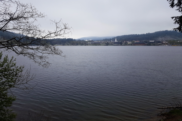 Titisee