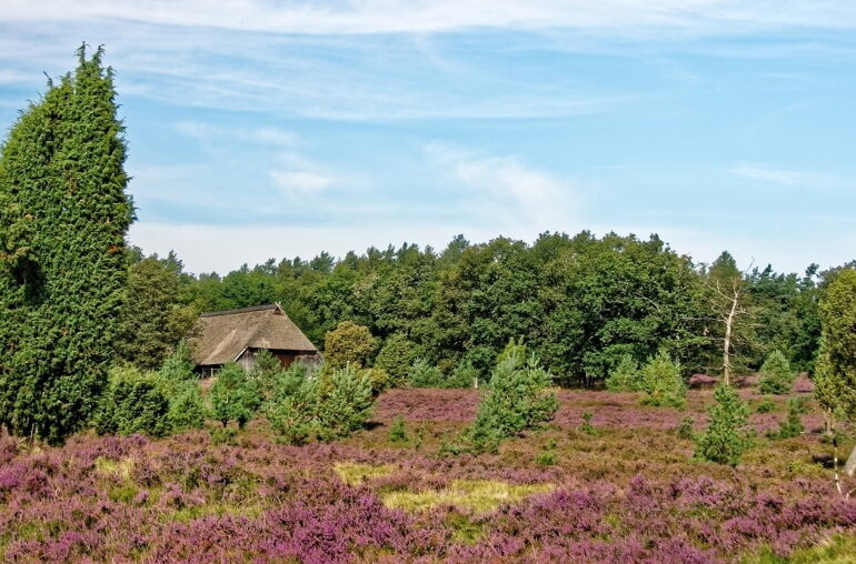 Osterheide